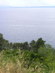Similar image 22717862