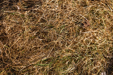 Similar image 22718086