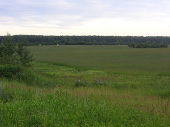 Similar image 22717863