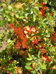 Similar image 22717864
