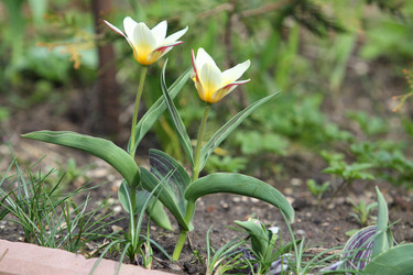 Similar image 22717875