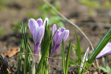 Similar image 22717882