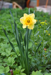 Similar image 22733773