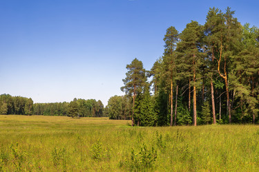 Similar image 22718839