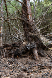 Similar image 22733751