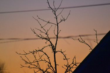Similar image 22718190