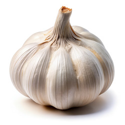 Similar image 22721056