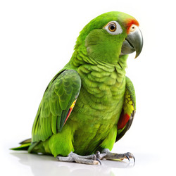Similar image 22721391