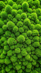 Similar image 22722352