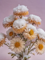 Similar image 22721559