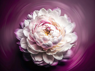 Similar image 22722656