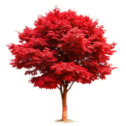 Similar image 22732990