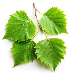 Similar image 22733425
