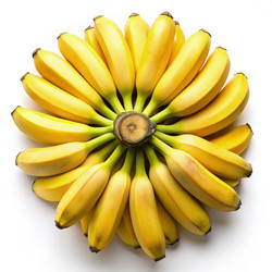 Similar image 22731310