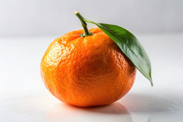 Similar image 22731433