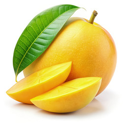 Similar image 22731626