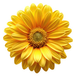 Similar image 22731627