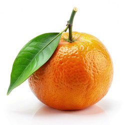 Similar image 22723605