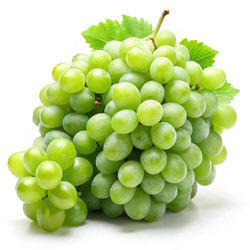 Similar image 22723754