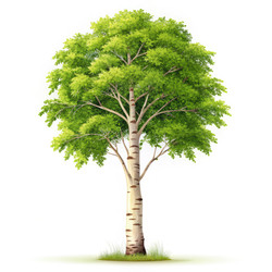 Similar image 22723756