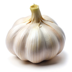 Similar image 22723799