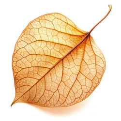 Similar image 22723611