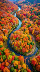 Similar image 22723084