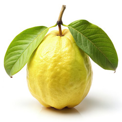 Similar image 22723085