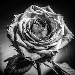 Similar image 22724302