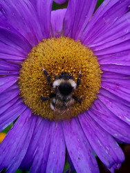 Similar image 22738425