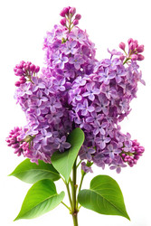 Similar image 22723602