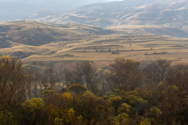 Similar image 22725004