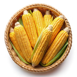 Similar image 22723032