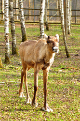 Similar image 22738885