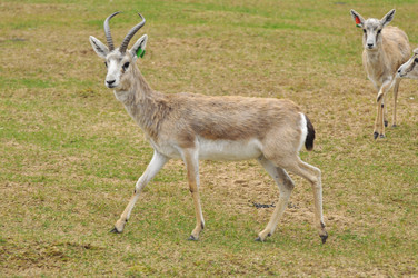 Similar image 22738900