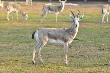 Similar image 22738907
