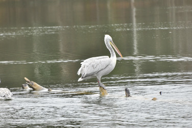Similar image 22738918