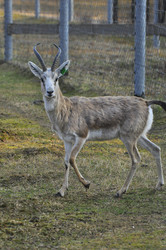 Similar image 22738919