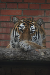 Similar image 22738925