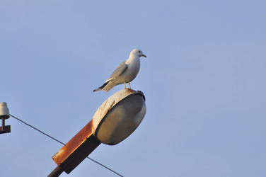 Similar image 22738985