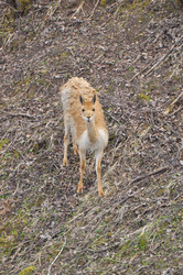 Similar image 22739000