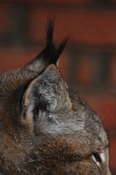 Similar image 22739005