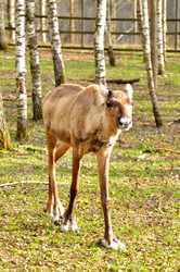 Similar image 22739016