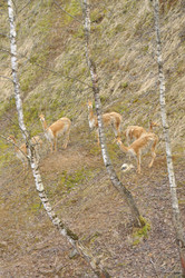 Similar image 22739026