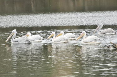 Similar image 22739033