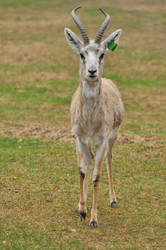 Similar image 22739051