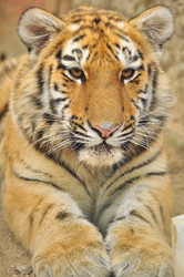 Similar image 22738722