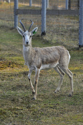 Similar image 22738732