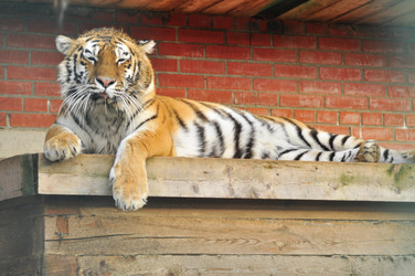 Similar image 22738736