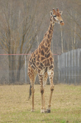 Similar image 22738896